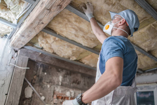 Best Affordable Insulation Services  in Lumbine, CO