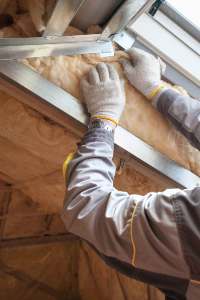 Best Insulation Replacement Services  in Lumbine, CO