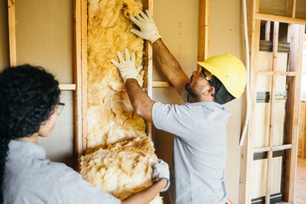 Best Wall Insulation Contractor  in Lumbine, CO