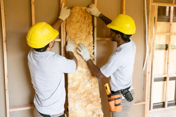 Insulation Replacement Services in Columbine, CO